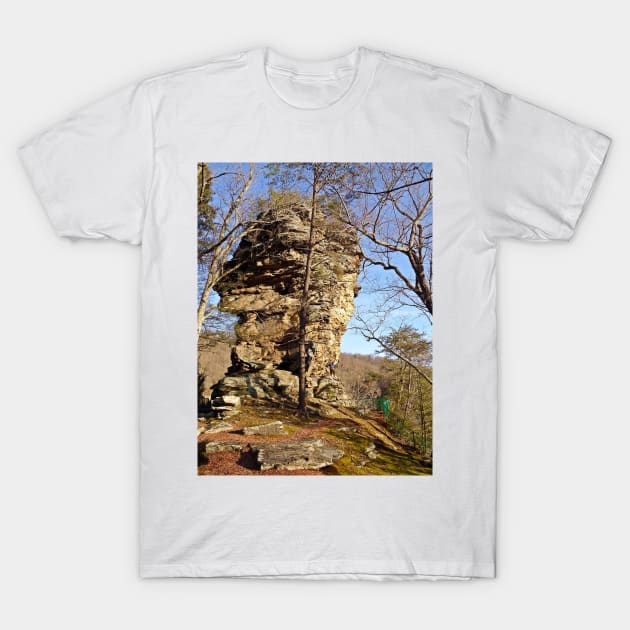 Storming The Castle T-Shirt by PaulLu